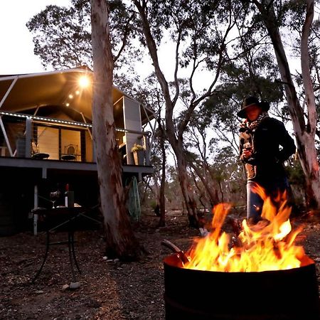 Wallabies Rest Ben Bullen Exterior foto