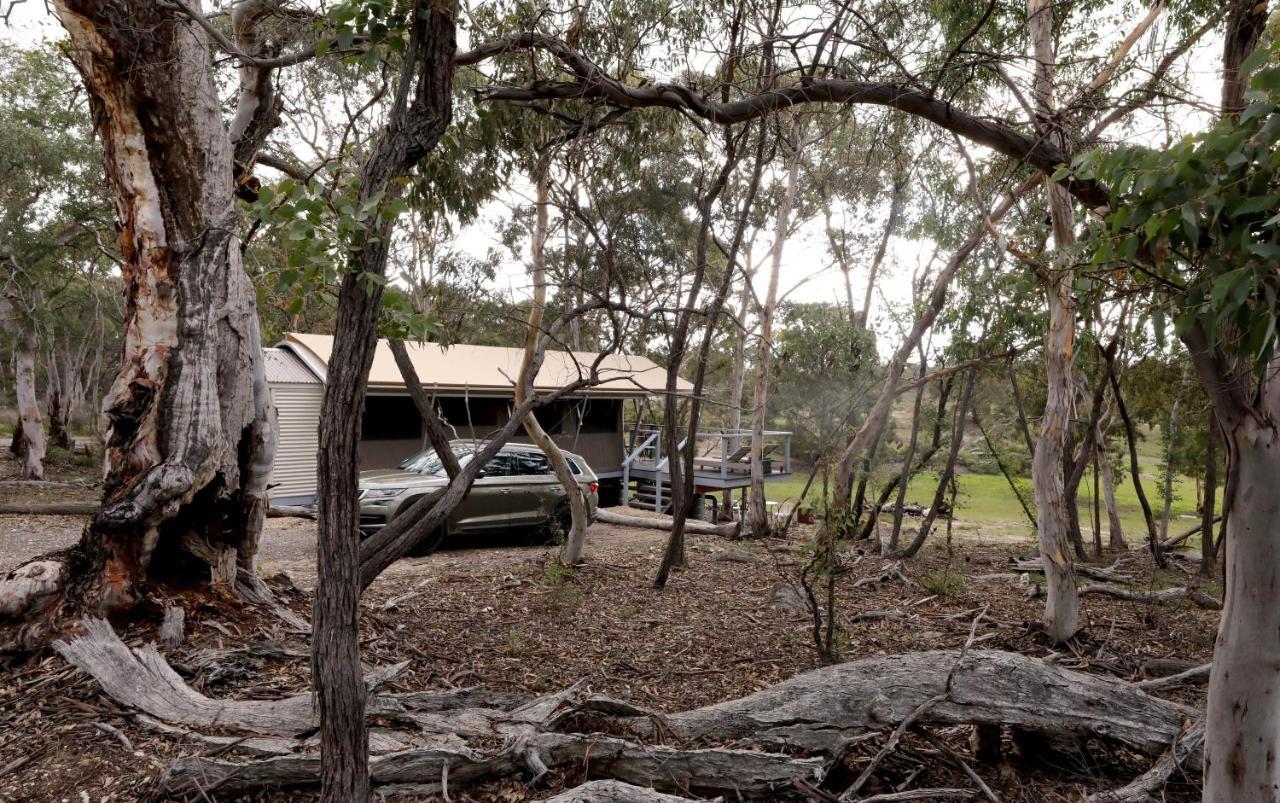 Wallabies Rest Ben Bullen Exterior foto