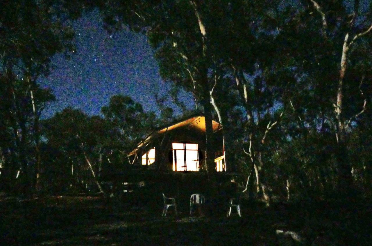 Wallabies Rest Ben Bullen Exterior foto